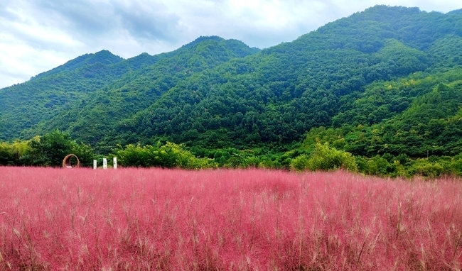 寶成線鳳縣境內(nèi)的路邊。