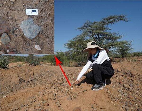 地層中的勒瓦婁哇石片。中肯聯(lián)合考古隊(duì)供圖