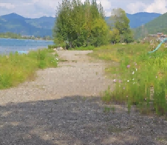 王軍所說被填區(qū)域。 人民網(wǎng)記者 黃鈺攝