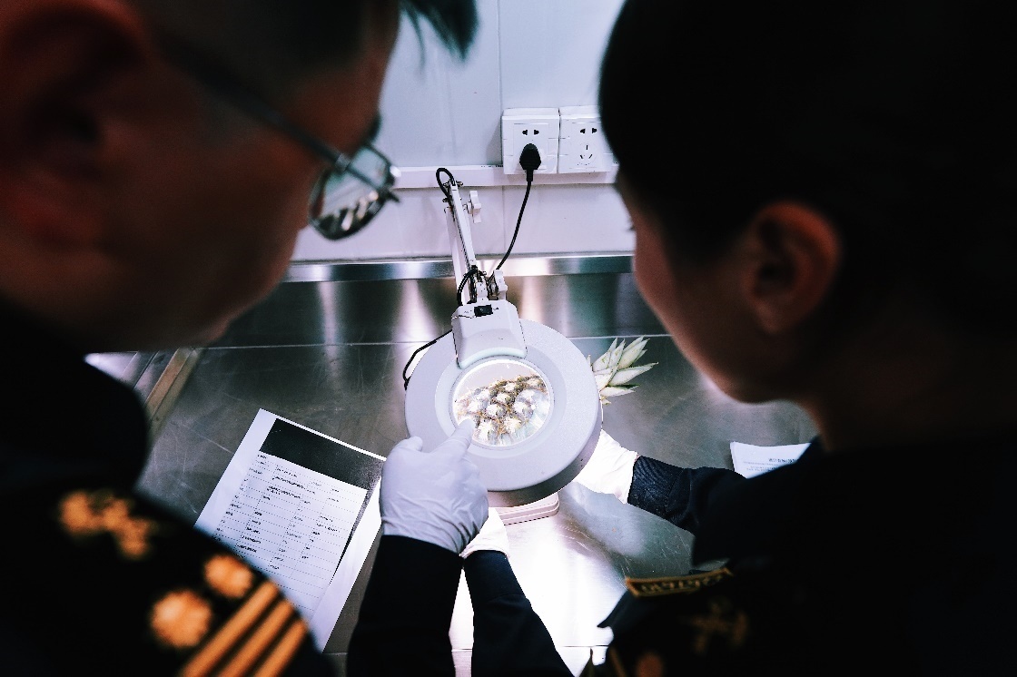 上海海關關員針對檢疫性有害生物和農(nóng)藥殘留進行檢疫檢驗。陳興洲攝