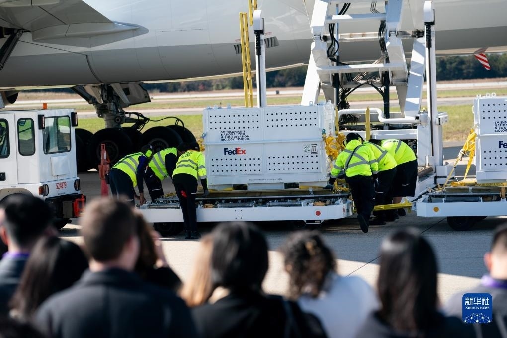 11月8日，在美國(guó)弗吉尼亞州的華盛頓杜勒斯國(guó)際機(jī)場(chǎng)，裝有大熊貓的特制“旅行包廂”準(zhǔn)備運(yùn)上專機(jī)。新華社記者劉杰攝