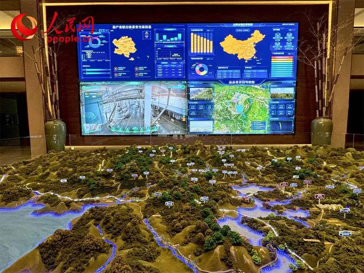 品品香白茶產(chǎn)業(yè)園信息中心數(shù)智化大屏。人民網(wǎng)記者 劉微攝