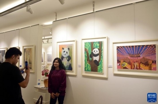 11月22日，在孟加拉國(guó)達(dá)卡，人們?cè)凇皣?guó)家印象”繪畫展上參觀拍照。新華社發(fā)（薩利姆攝）