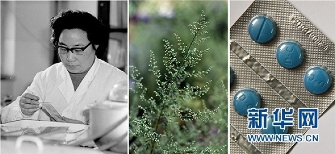 屠呦呦、青蒿和抗瘧疾成藥（拼版資料照片）