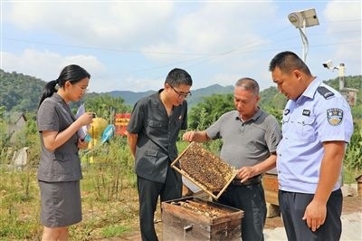 圖②：蒙山法院黃村法庭法官深入蜂蜜合作社，實地了解蜂農(nóng)需求。