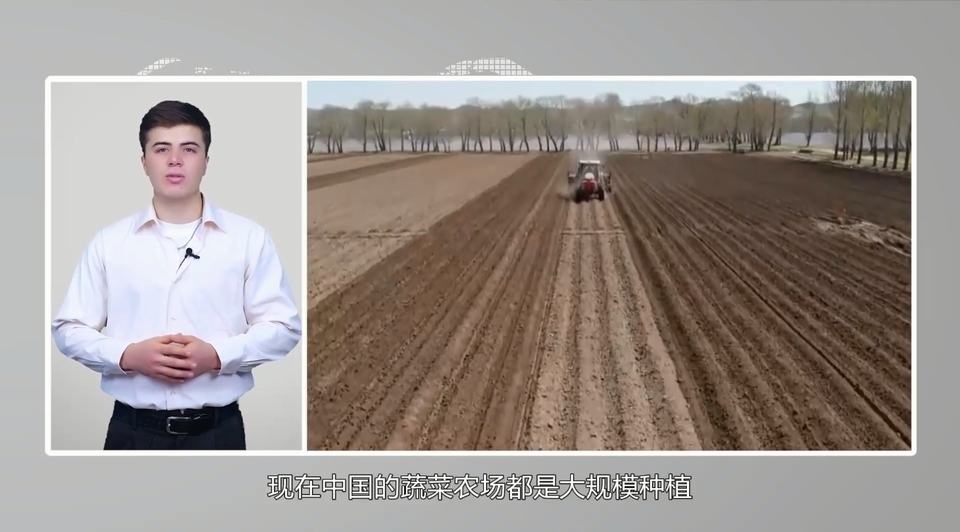 【國際3分鐘】中國大蒜成國家威脅？美政客反智言論背后的問題值得思考_fororder_2