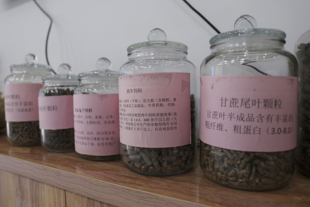 這是12月13日在來賓市興賓區(qū)小平陽鎮(zhèn)一家飼料廠拍攝的以甘蔗尾葉為原料制成的飼料。