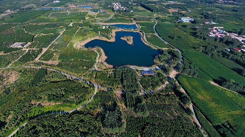 這是2022年9月6日拍攝的雄安新區(qū)“千年秀林”。