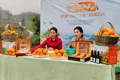 2021年2月26日，在重慶渝北區(qū)大盛鎮(zhèn)青龍村舉辦的直播活動現(xiàn)場。