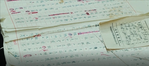 曲波《林海雪原》手稿。主辦方供圖