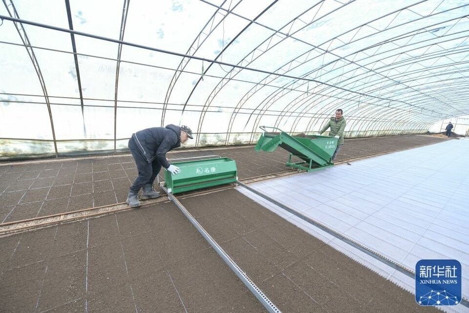 新華全媒+|“大糧倉”黑龍江春耕備耕火熱進(jìn)行