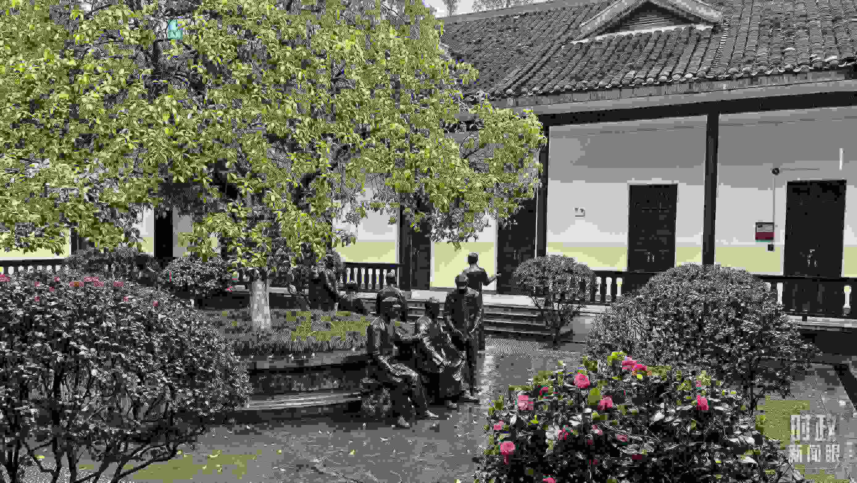 △湖南第一師范學院（城南書院校區(qū)）校園里。（總臺央視記者趙化拍攝）