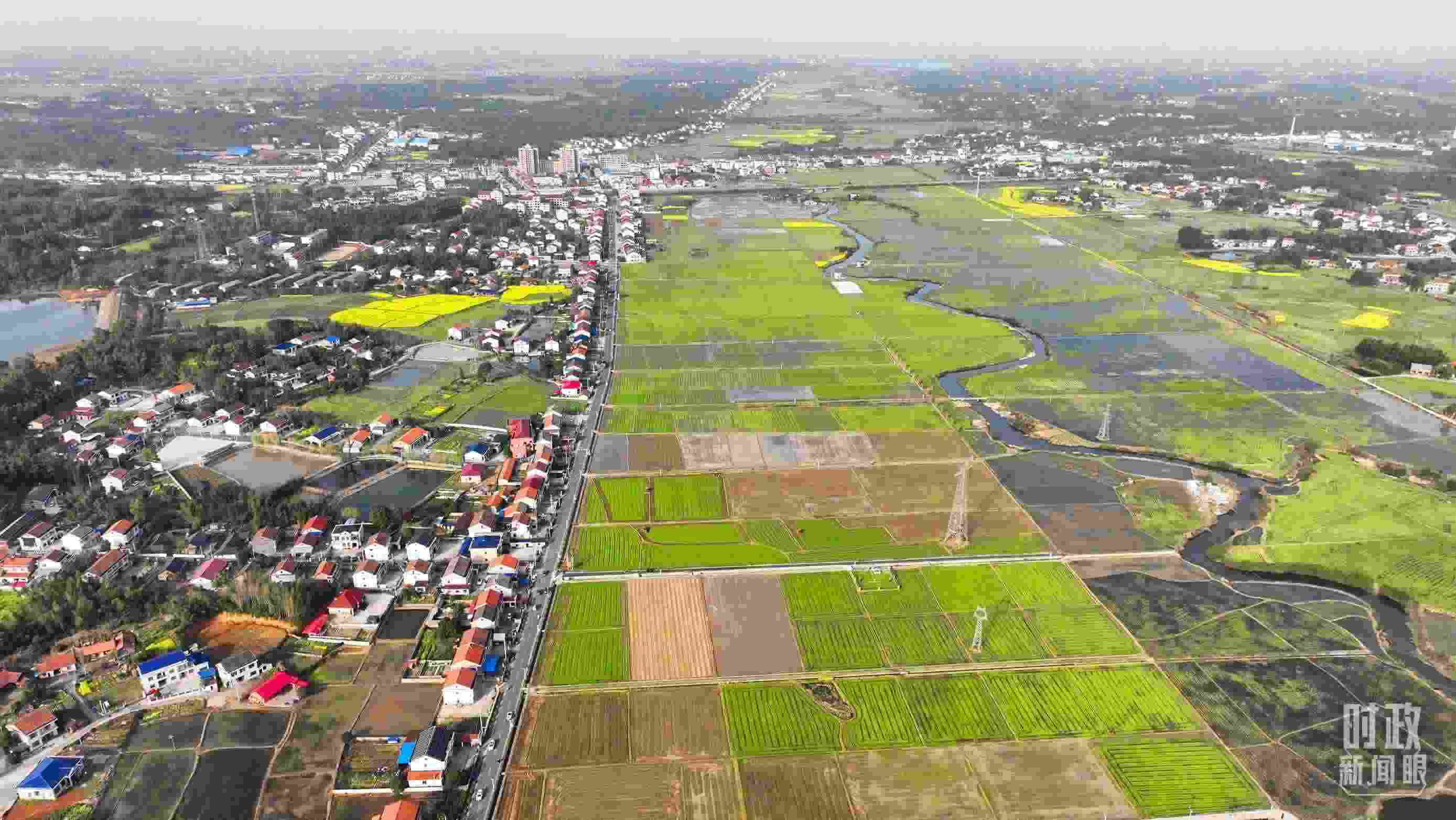 △俯瞰常德市謝家鋪鎮(zhèn)港中坪村。（總臺國廣記者李晉拍攝）