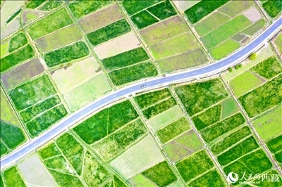 無人機(jī)視角下的西藏山南市瓊結(jié)農(nóng)田。人民網(wǎng)記者 次仁羅布攝