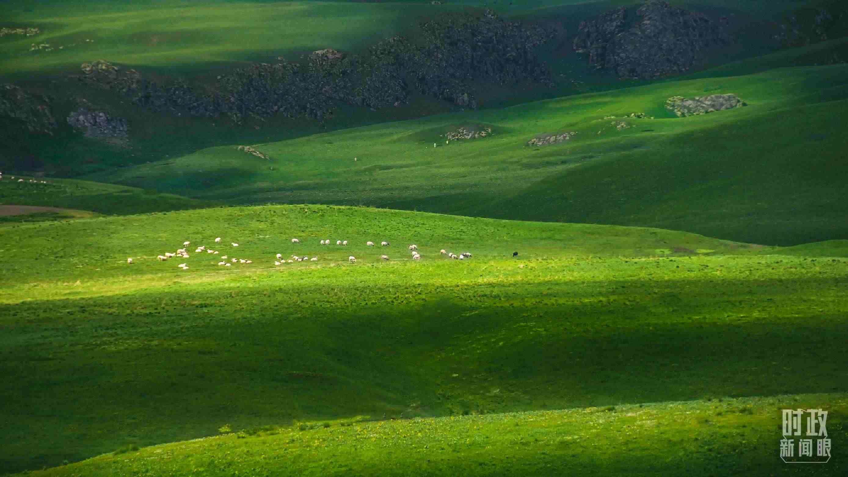 △祁連山草原光影。（圖/視覺中國）