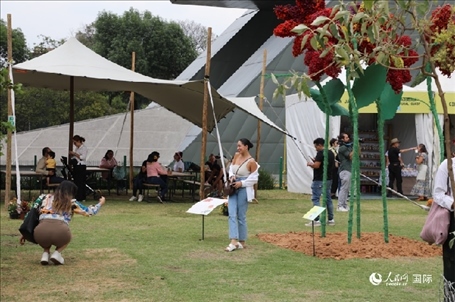 坎波·馬特活動現(xiàn)場。埃內(nèi)斯托·多明戈斯攝