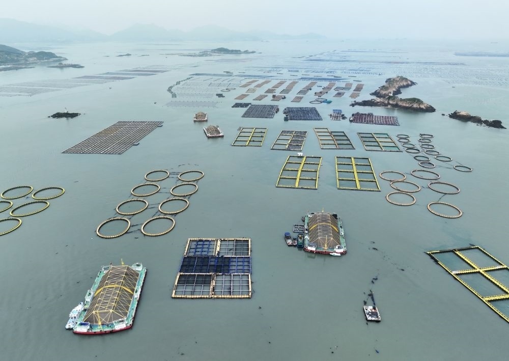 在福建連江定海灣海域，坐落著“定海灣1號(hào)”“定海灣2號(hào)”等深遠(yuǎn)海養(yǎng)殖平臺(tái)（2024年5月7日攝，無(wú)人機(jī)照片）。新華社記者 林善傳 攝