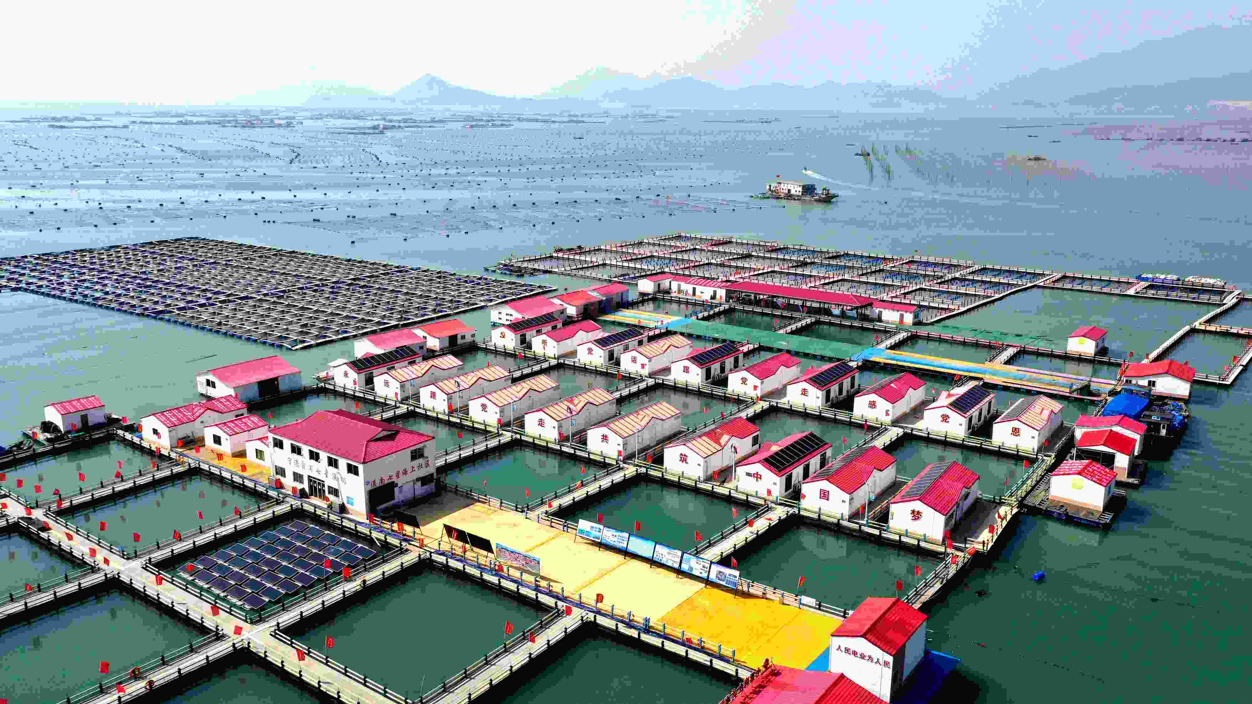 2024年3月20日，福建省寧德市，霞浦縣溪南鎮(zhèn)七星村漁排養(yǎng)殖示范區(qū)，漁民駕駛養(yǎng)殖船進行海參養(yǎng)殖作業(yè)。