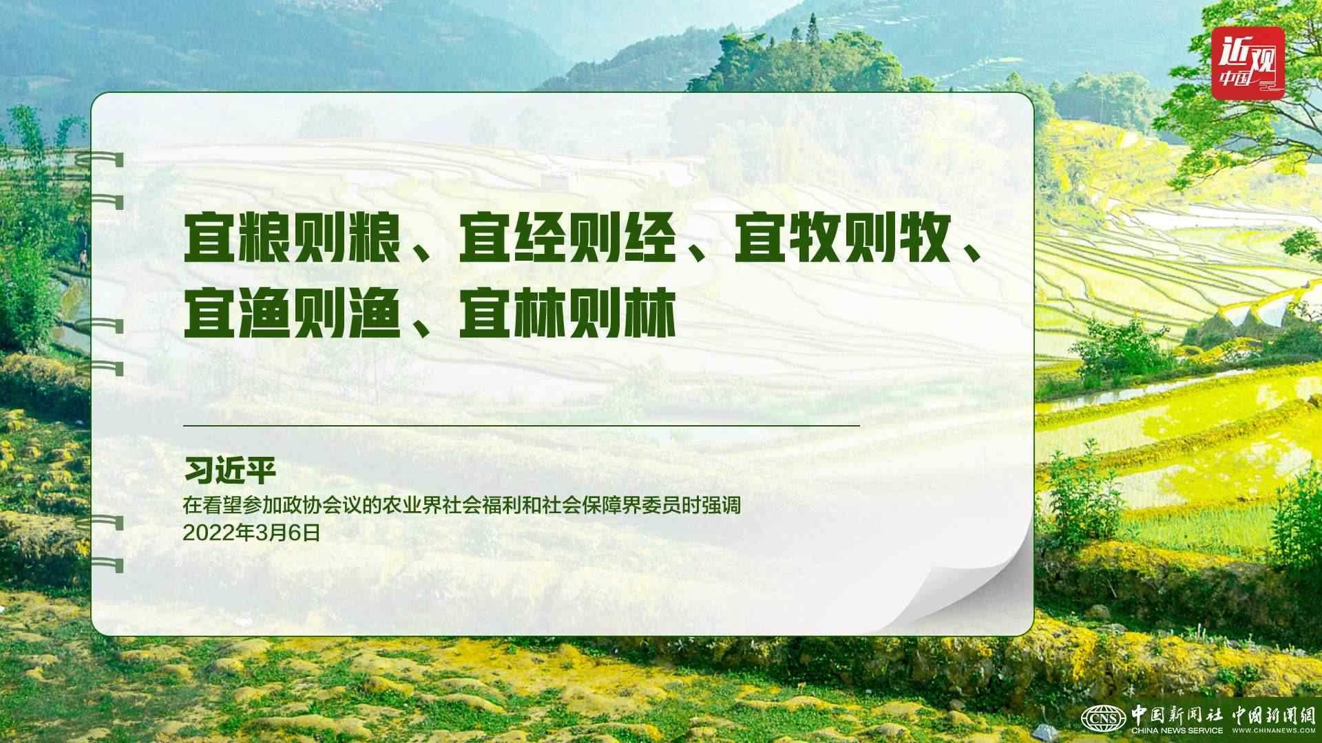 習(xí)近平：樹立大食物觀，構(gòu)建多元化食物供給體系