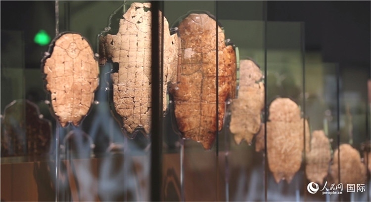 殷墟博物館新館的甲骨展品。人民網(wǎng)記者 劉寧攝