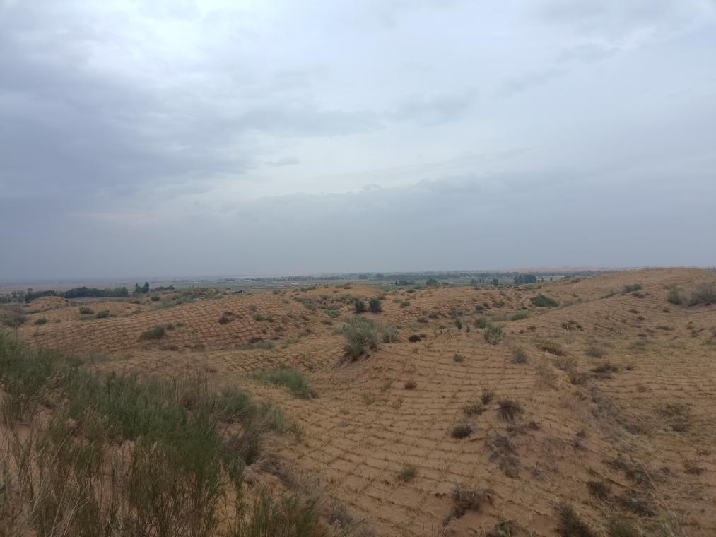 寧夏吳忠市鹽池縣和內(nèi)蒙古鄂爾多斯市鄂托克前旗交界處的流動(dòng)沙丘，今年剛剛完成治理。（孫果攝）