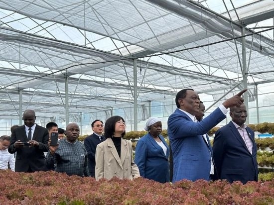 使節(jié)團(tuán)考察貴州省清鎮(zhèn)駱家橋蔬菜保供基地的無土栽培溫室。新華社記者 袁睿 攝