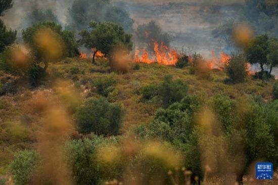 6月12日，以色列北部加利利地區(qū)遭受火箭彈襲擊后冒出滾滾濃煙。新華社發(fā)（阿亞爾·馬戈林攝/基尼圖片社）