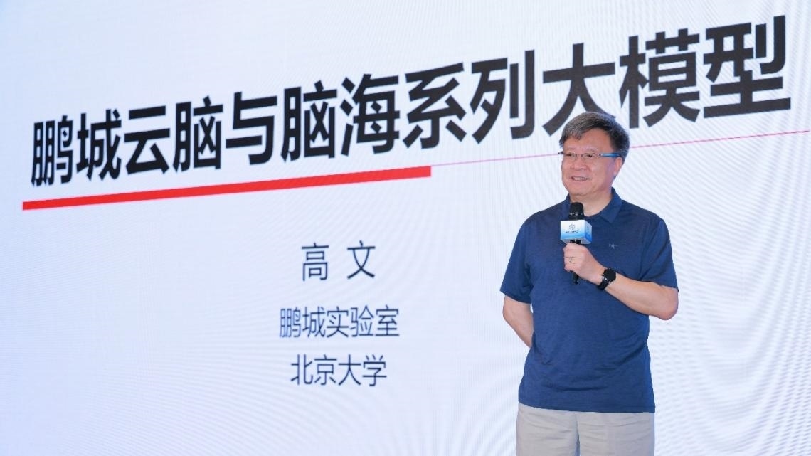 高文院士做大會特邀報告。主辦方供圖