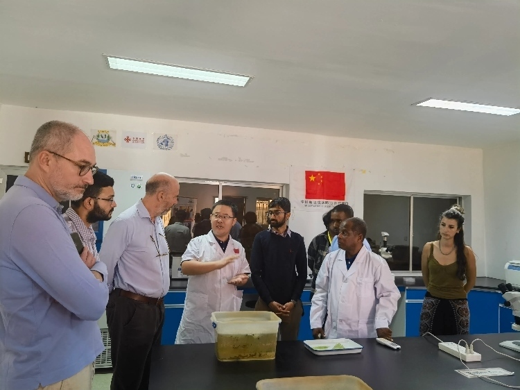 活動(dòng)現(xiàn)場。專家組供圖