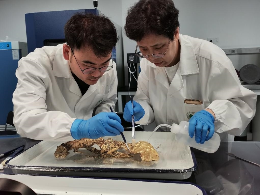 2023年7月，馬燕如（右）帶著魯海子（左）修復(fù)三星堆遺址出土的黃金面具。新華社發(fā)（四川省文物考古研究院供圖）