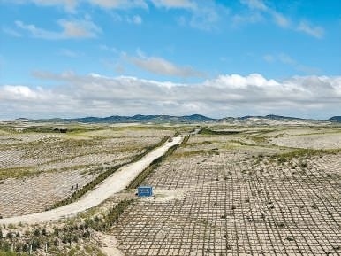 剛剛竣工的其白線穿沙公路。