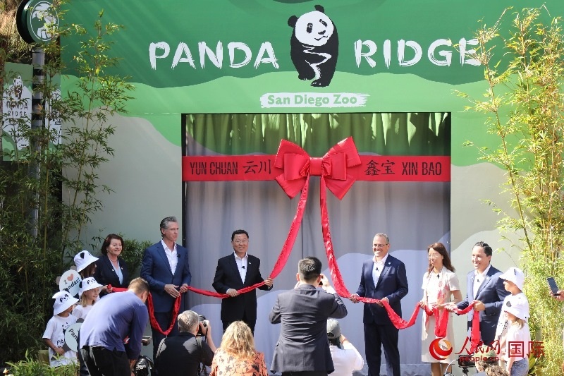 1、中國駐美國大使謝鋒、加州州長紐森、圣迭戈市市長格洛利亞等人共同為“熊貓嶺”開館剪彩。 人民網(wǎng)記者 李志偉攝