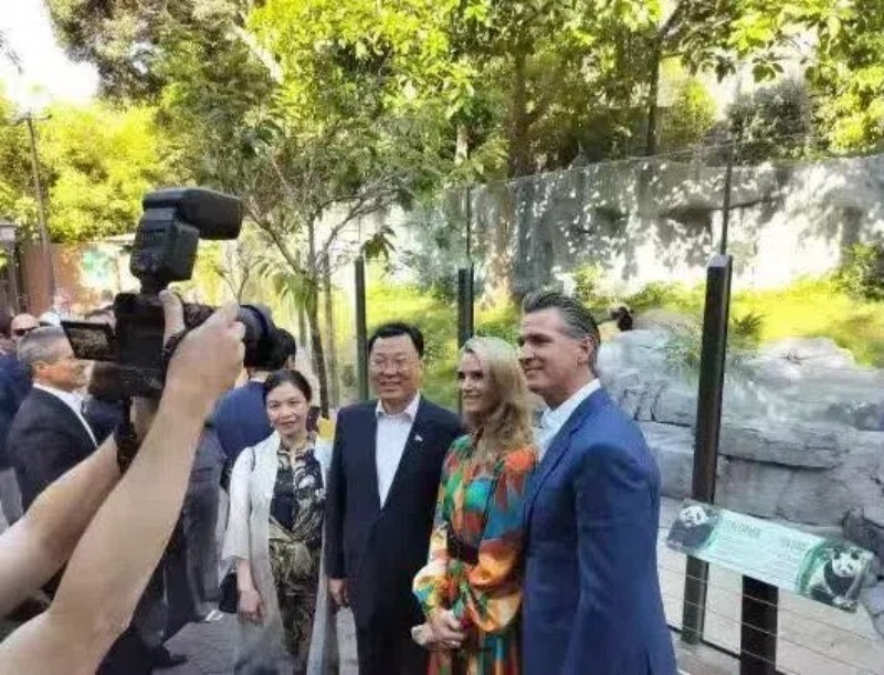 謝鋒大使及夫人與加州州長(zhǎng)紐森夫婦在圣迭戈動(dòng)物園大熊貓館前合影。圖片為中國駐美大使館提供