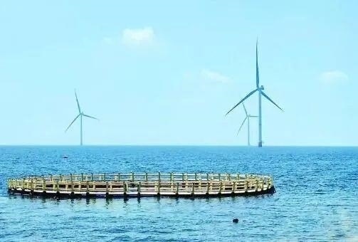 △山東萊州風電項目實現(xiàn)了海上風電和海洋牧場融合發(fā)展。