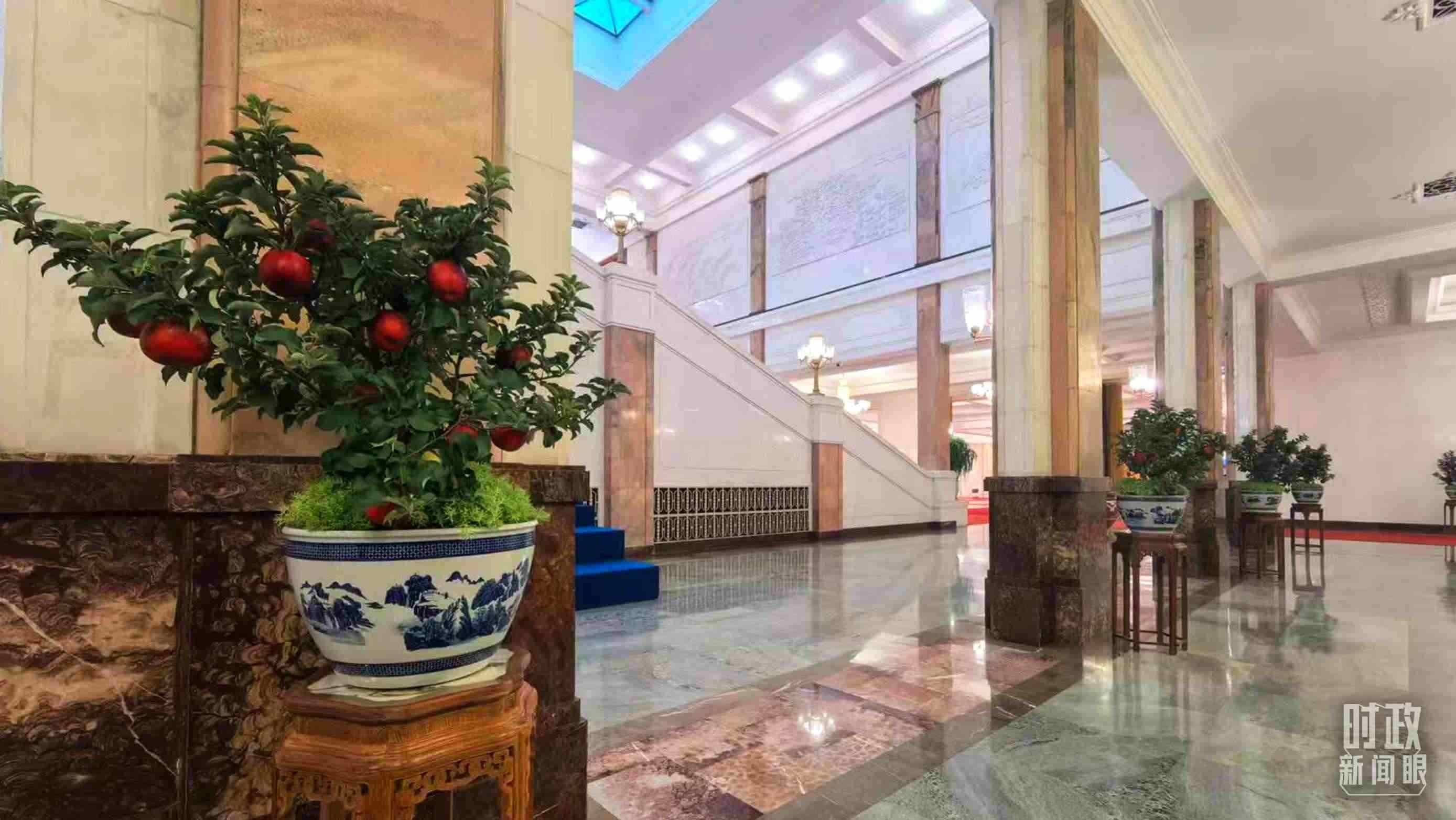  △大會(huì)堂內(nèi)的“碩果累累”盆栽。（總臺(tái)國(guó)廣記者吳倩拍攝）