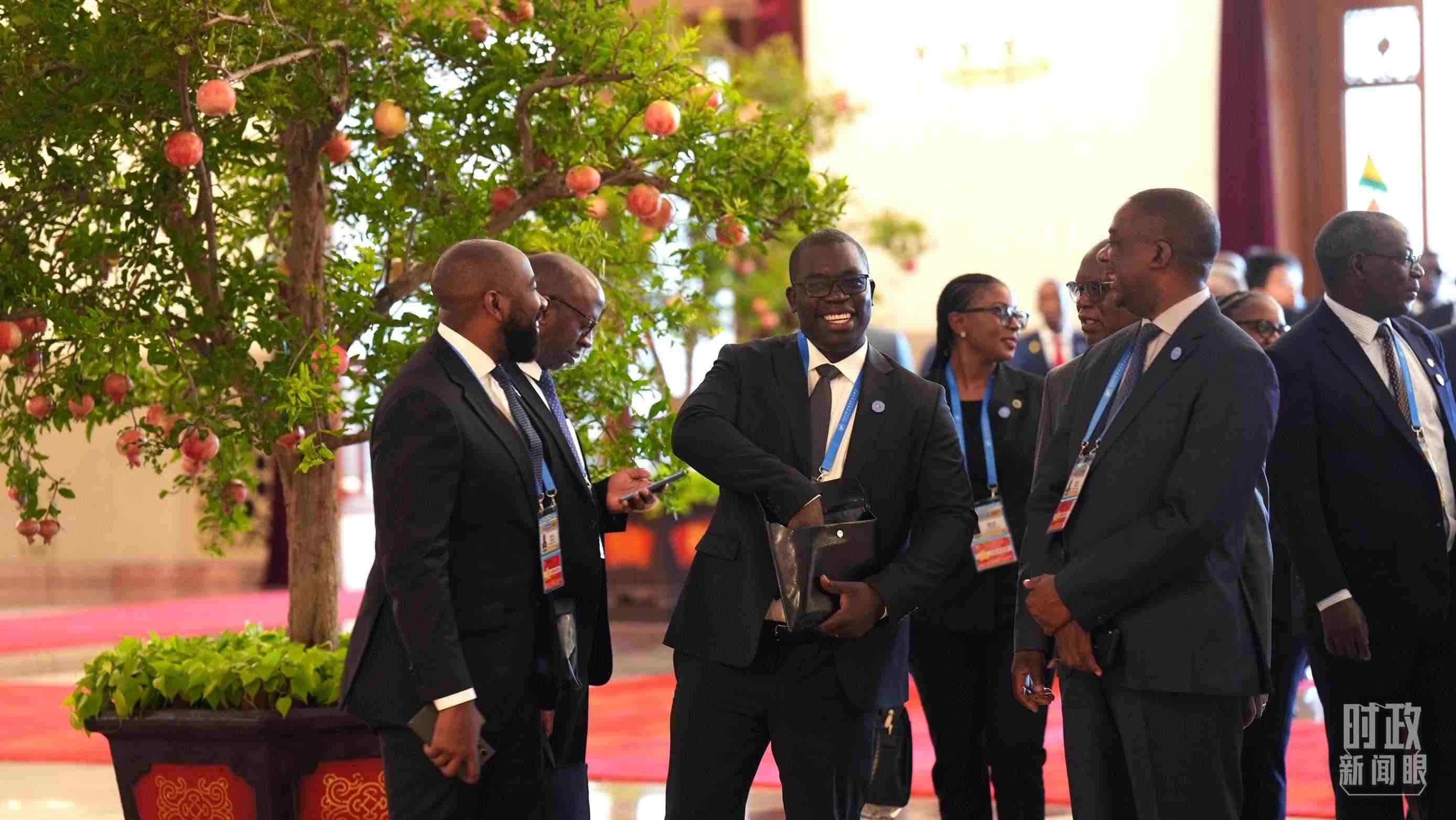 出席中非合作論壇北京峰會的非洲國家代表。（總臺記者李晉拍攝）