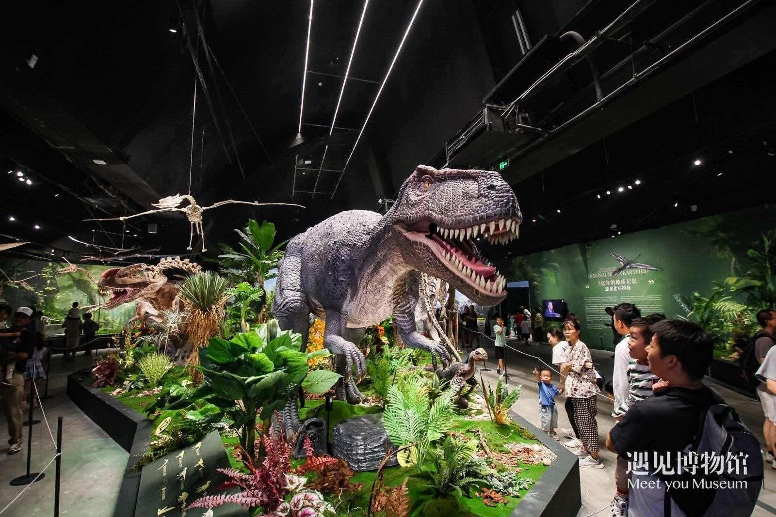 2. 游客參觀“2億年的地球記憶——恐龍化石特展”。遇見(jiàn)博物館供圖