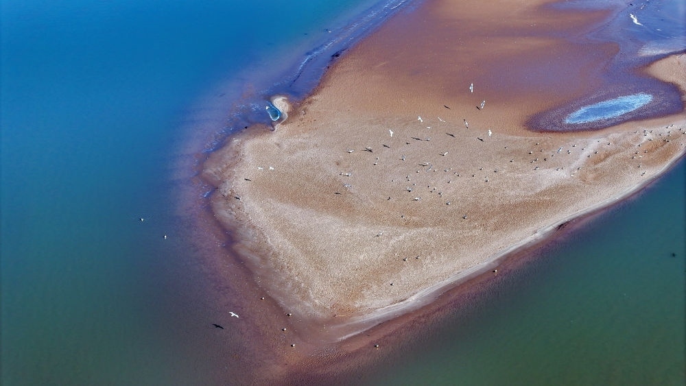2024年3月1日拍攝的黃河寧夏段（無人機(jī)照片）。
