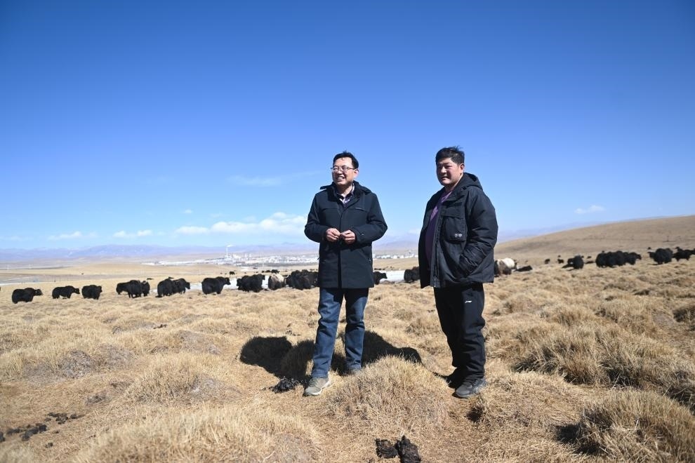 2023年2月24日，在青海省海北藏族自治州海晏縣青海湖鄉(xiāng)達(dá)玉日秀村，全國人大代表董全民（左）查看牧民東知布家的草場。新華社記者 張龍 攝