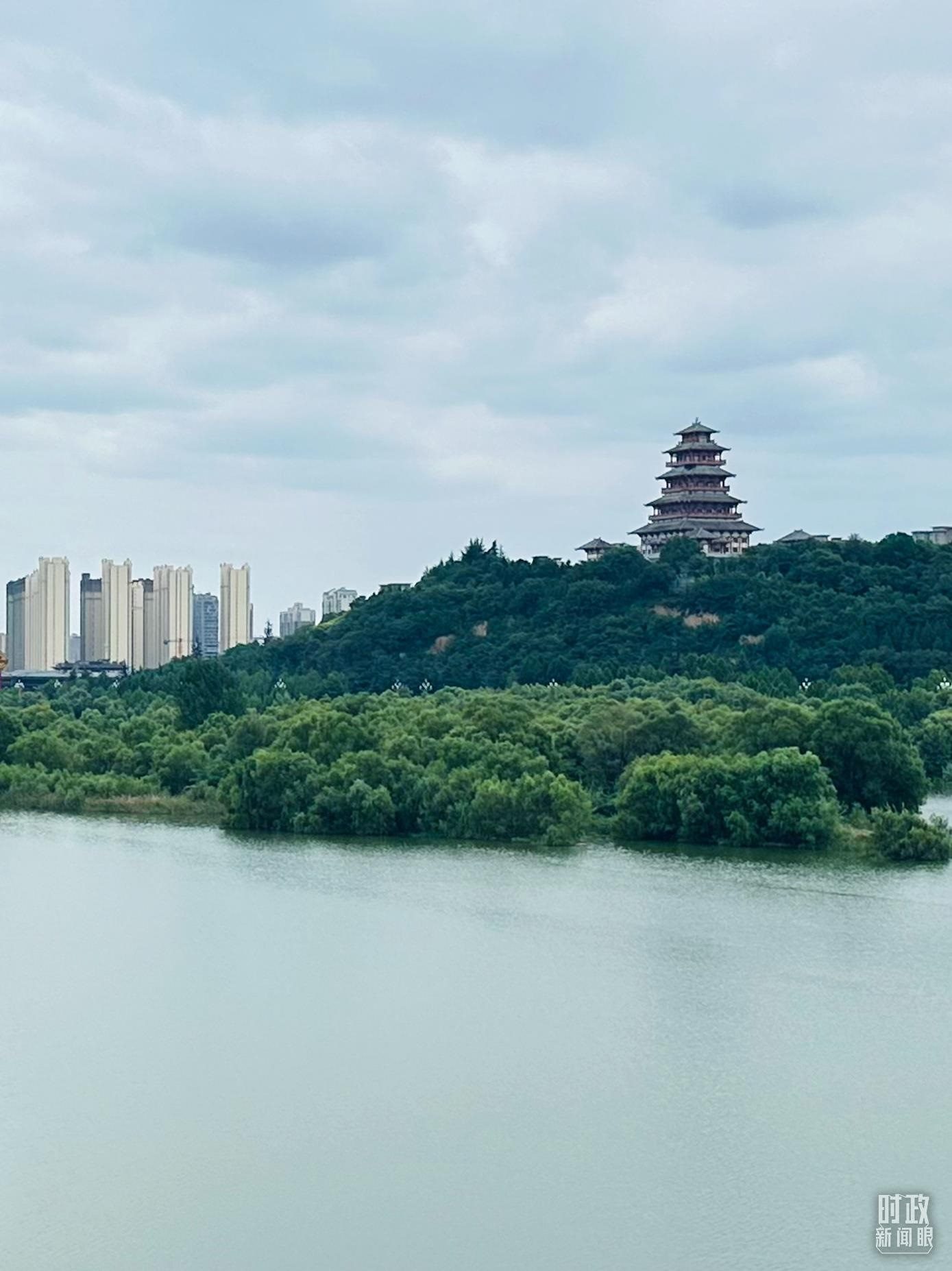 △渭河寶雞段長(zhǎng)224公里，目前建成17處渭河灘區(qū)生態(tài)涵養(yǎng)區(qū)。（總臺(tái)央視記者范一鳴拍攝）