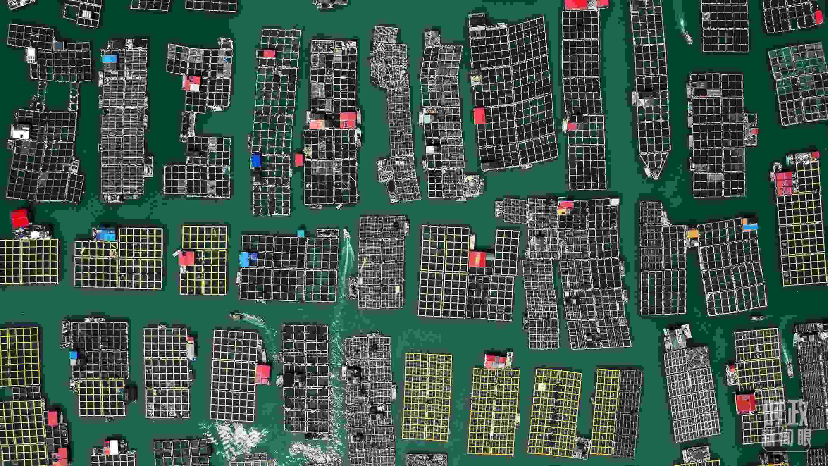 △澳角村。（總臺記者李晉拍攝）