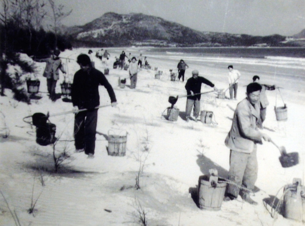 上世紀(jì)東山百姓在沙灘造林（資料照片）。