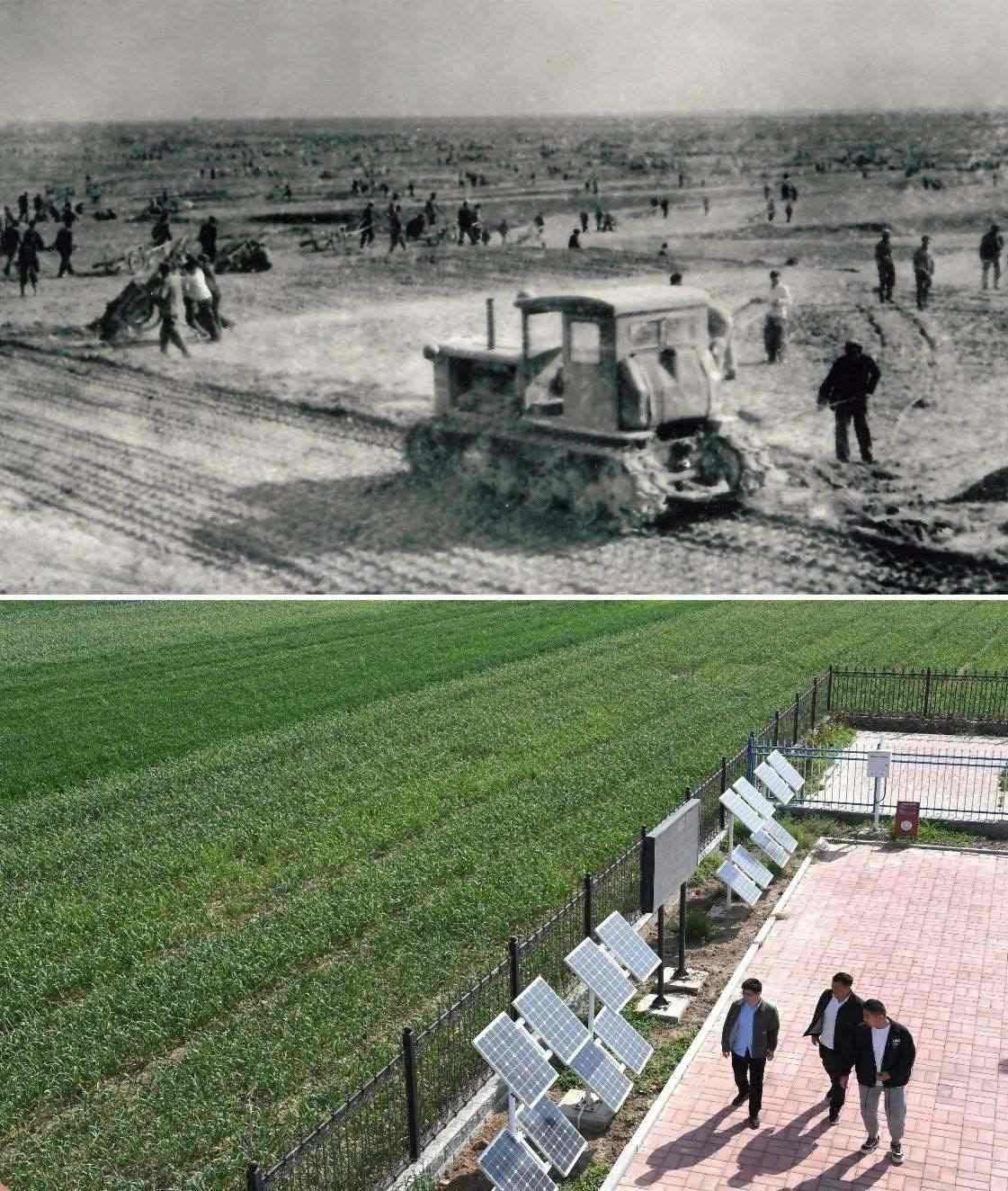 上圖為二十世紀(jì)六十年代蘭考改造鹽堿地的情景（資料照片）；下圖為2024年4月18日拍攝的蘭考縣紅廟鎮(zhèn)高標(biāo)準(zhǔn)農(nóng)田示范區(qū)。（新華社記者 朱祥 攝）