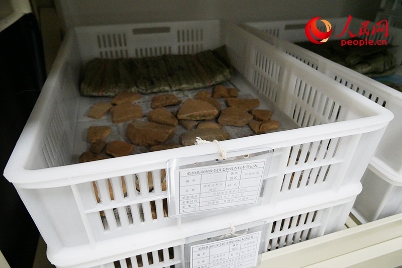已經(jīng)整理完畢的文物標(biāo)本。人民網(wǎng)記者 韋衍行攝