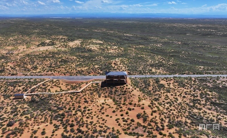 古浪縣一代代人治沙不息，讓綠色向沙漠深處不斷延伸（央廣網(wǎng)記者 李紅軍 攝）