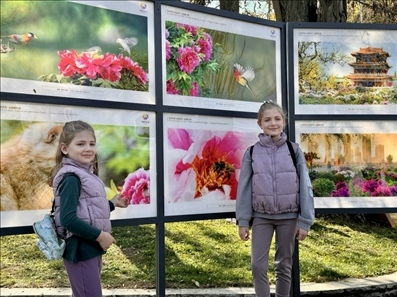 活動現(xiàn)場。中國駐保加利亞大使館供圖。