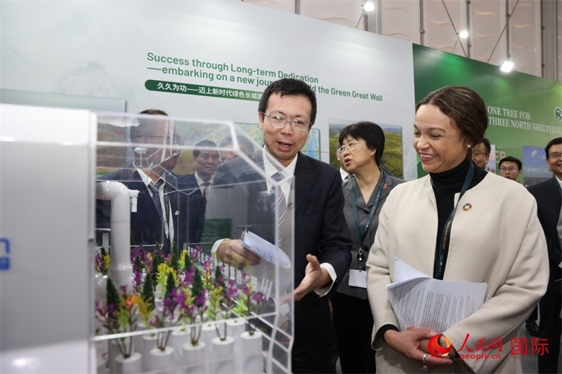 嘉賓參觀中國館。人民網(wǎng)記者任皓宇攝