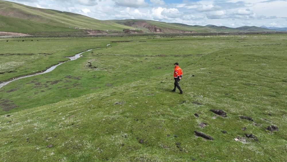 9月24日，生態(tài)管護員那瓦才郎在草場上巡護。（受訪者供圖）