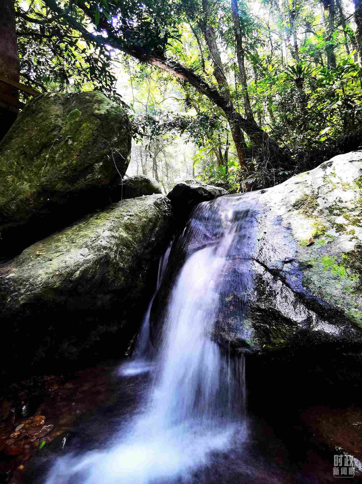 海南五指山。（總臺央視記者劉琦拍攝）