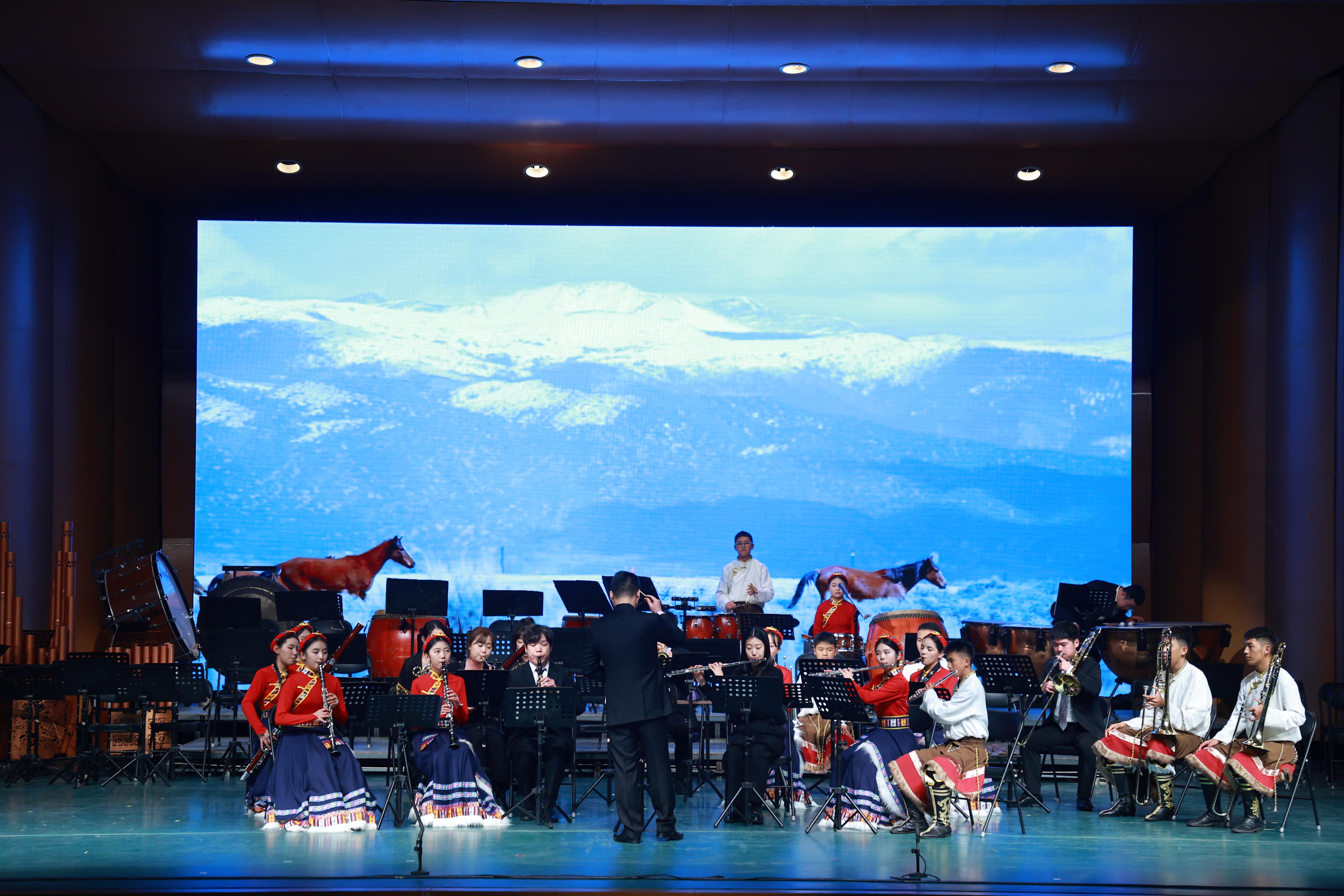 音樂會展演現(xiàn)場。（主辦方供圖）